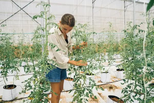 Farming & Horticulture